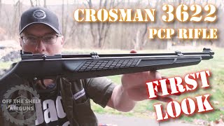 FIRST LOOK  Crosman 3622 PCP Air Rifle [upl. by Aseral]