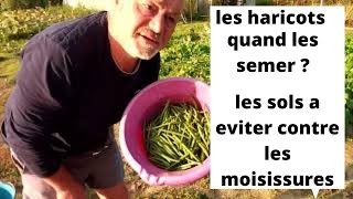 Quand semer vos premiers haricots verts [upl. by Gianni]