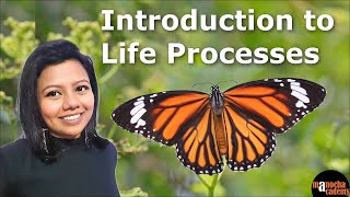 Life Processes Class 10 Science Biology [upl. by Aridnere]