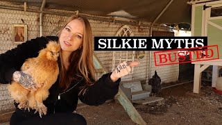 The TRUTH About Silkie Chickens [upl. by Koren]