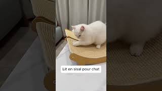 Un bon lit à gratter en sisal pour chat [upl. by Veats]