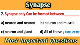 Synaptic transmission animation  neuron signaling animation  neuron function  action potential [upl. by Ayotol]