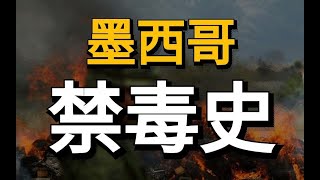 號稱墨西哥「第二個總統」的毒梟，兩次越獄的全球第一惡人丨江無情 [upl. by Ellehcsar]