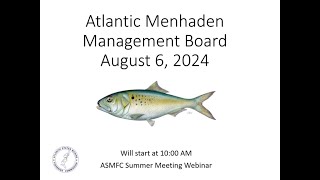 Atlantic Menhaden Board Proceedings Summer 2024 [upl. by Iru]