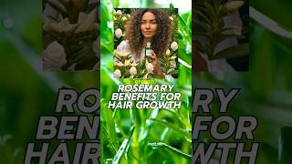 Rosemary for RAPID Hair Growth  Rosmarinic Acid hair hairgrowth beauty [upl. by Cosimo]