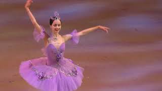 110818 Maria Iliushkina Lilac Fairy debut variation coda in Prologue [upl. by Akehsat]