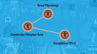 USMLE Prep  Renal Physiology  Glomerular Filtration Rate  Paradoxical Effect [upl. by Gerick]