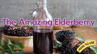 The Amazing Elderberry Its Many Health Benefits [upl. by Attenal314]