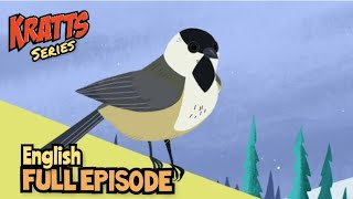 wild Kratts – The Erminator  full episode  english  Kratts series [upl. by Semaj]