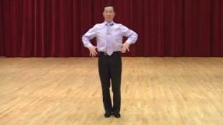 Basic Technique for Standard Ballroom Dancing [upl. by Ecnarrat]