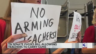 Tennessee Senate passes bill allowing teachers to carry guns in school [upl. by Nekal]