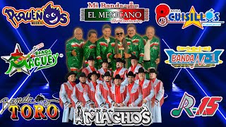 Tecno Banda Mix Quebraditas Exitos  El Mexicano Banda Machos Pequenos Cuisillos Maguey y Mas [upl. by Novikoff]