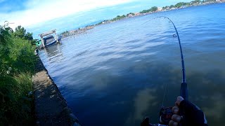 EP73  Catch And Cook  Pamimingwit sa Bagong spot  Dagupan city Pangasinan [upl. by Channing]