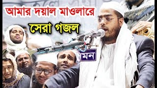 আমার দয়াল মাওলারে হাফিজুর রহমান সিদ্দিকীর সেরা গজল। Hafizur Rahman Siddiki New Gojol 2019 [upl. by Notsur]