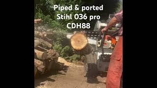 Piped amp ported stihl 036 pro with cdh88 cutting maple info in description stihl chainsaw cdh [upl. by Aleac389]