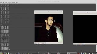 Image masking python opencv [upl. by Turne]