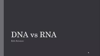 DNA vs RNA [upl. by Donela964]