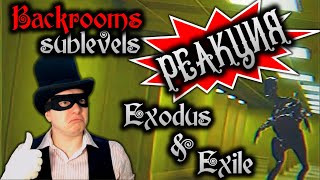 BACKROOMS SUBLEVELS EXODUS AND EXILE  РЕАКЦИЯ АРИСТОКРАТА 3 [upl. by Ennaylloh336]