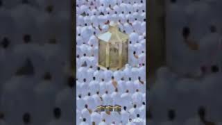 shortvideos ❤🕋🕋 [upl. by Ocisnarf]