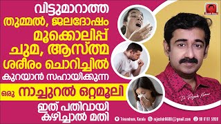 തുമ്മൽ ജലദോഷം മൂക്കൊലിപ്പ് ചുമ ശരീരം ചൊറിച്ചിൽ കുറയാൻ ഈ നാച്ചുറൽ ഒറ്റമൂലി പതിവായി കഴിച്ചാൽ മതി [upl. by Olifoet]