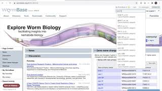 WormBase Webinar 3 JBrowse [upl. by Nysa]