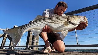 Surf Fishing MidJune on Long Island Striped Bass Herring and More [upl. by Tayib994]