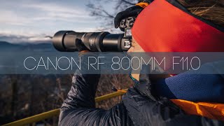 CANON RF 800 mm F11 watch this before you buy [upl. by Sabella]