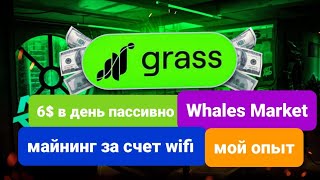 Майнинг криптовалюты с помощью wifi GRASS Остался всего месяц чтобы намайнить токены [upl. by Rehtae]