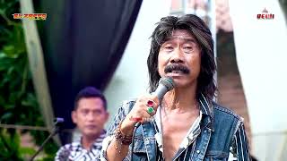 TERBAYANG  BAYANG  MR BLACK EL ZAFFA LIVE SIANG MBAK NAJWA PUNYA GAWE [upl. by Ferrigno]