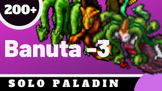 Banuta 3 for Paladin Tibia Solo Hunt [upl. by Bywoods]