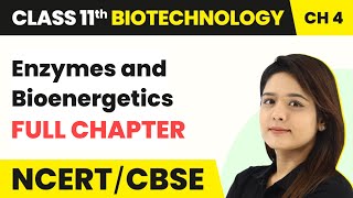 Enzymes and Bioenergetics  Full Chapter Explanation NCERT Solutions  Class 11 Biotechnology Ch 4 [upl. by Mauceri]