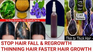 Stop hair fall amp Thick Long hair growth shiny spary powerfull homemade hair growth Toner [upl. by Burd]