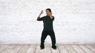 Taiji Exercise Drills Repulse Monkey [upl. by Anneg]