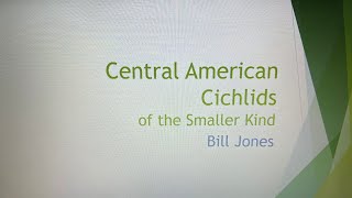 Central American Cichlids of the Smaller Kind [upl. by Eisler]