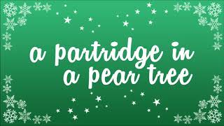 A Partridge In A Pear Tree  Childrens Christmas Songs amp Stories [upl. by Atinnod993]