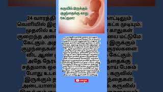 24 வாரத்தில் வயிற்றில் உள்ள குழந்தைக்கு காது கேட்குமா [upl. by Winnah]