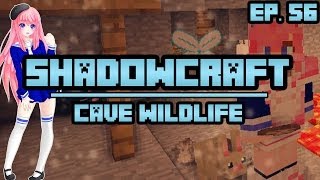 Cave Wildlife  ShadowCraft  Ep 56 [upl. by Flint]