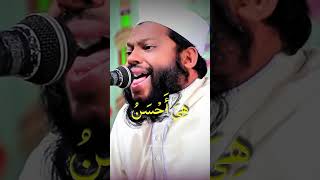 Discover Qari Saeed ul Islams Beautiful Quran Recitation tilawat [upl. by Anitsrihc]