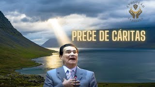 Envolvase na Paz Prece de Cáritas para iluminar o seu dia [upl. by Neyrb]