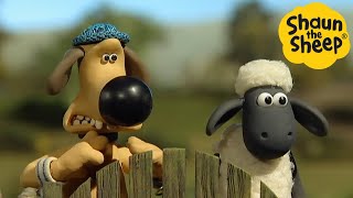 Shaun the Sheep 🐑 Bitzer and Shaun Adventure  Cartoons for Kids 🐑Full Episodes Compilation 1 hour [upl. by Ihcehcu325]