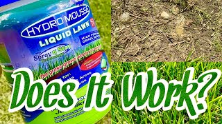 Does Hydro Mousse Liquid Lawn Grass Spray Work [upl. by Eduino]