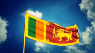 3D sri lankan National Flag [upl. by Pleasant546]