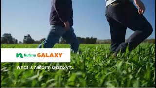 What is Nufarm Galaxy [upl. by Lyrem]