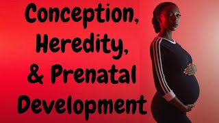 Conception Heredity amp Prenatal Development full chapter lecture [upl. by Ellenig890]