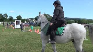 Gymkhana Frauenfeld 2019 [upl. by Gerhard]