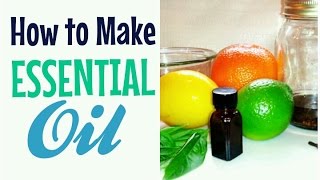 HOW TO MAKE ESSENTIAL OIL  3 Quick amp Easy Ways  Cheap Tip 179 [upl. by Tung756]