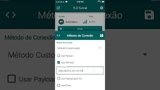 Como configurar a TLS TUNNEL VPN 2024 INTERNET grátis Vodacom [upl. by Enilehcim59]