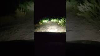 raat mein Safar mat karna ghost funny vlog car love ❤❤ cute [upl. by Mildred]