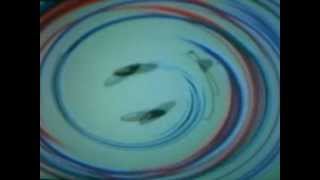 Nick Jr Face Makes Spin Art [upl. by Solakcin]