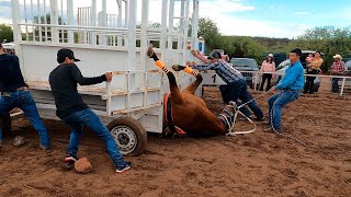 Carreras de Caballos en Cucurpe 25 Junio 2022 [upl. by Laflam]